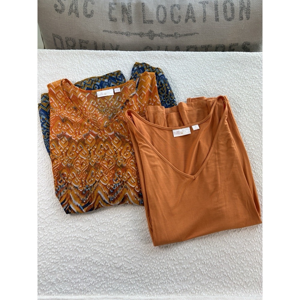 Belle by Kim Gravel Lot 2 Women's 2X Tops Tank and Flowy Tunic Travel Pair